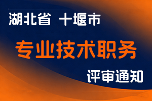 关于做好2024年度十堰市专业技术职务 任职资格评审工作有关事项的通知-全国职称政策库
