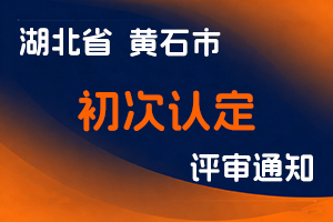 关于2025年黄石市大、中专毕业生初次认定专业技术职务有关工作的通知-全国职称政策库