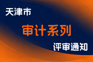 天津市审计系列2024年度高级职称评审方案-全国职称政策库