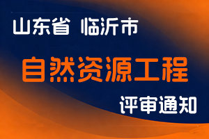 临沂市自然资源和规划局关于做好2025年度自然资源工程技术职务资格评审工作的通知-全国职称政策库