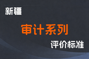 《新疆维吾尔自治区审计系列高级职称评审条件（试行）》-新人社发〔2023〕33号-全国职称政策库