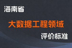 《海南省大数据工程领域职称评审条件(试行)》-琼数政〔2025〕1号-全国职称政策库