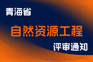 青海省自然资源厅关于开展2025年全省自然资源工程系列职称评审工作的通知-全国职称政策库