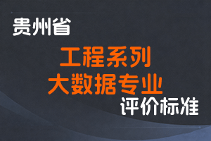《贵州省工程系列大数据专业技术职务任职资格申报评审条件（试行）》-黔人社通〔2019〕145号-全国职称政策库