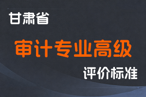 《甘肃省审计专业高级职称评价条件标准》-甘人社通〔2021〕249号-全国职称政策库