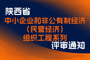 陕西省人力资源和社会保障厅 陕西省工业和信息化厅 关于开展2025年度中小企业和非公有制经济（民营经济）组织工程系列高级职称评审工作的通知-全国职称政策库